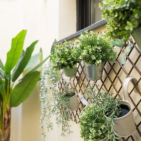 Serranos 24 Rector Cobos Lejlighed