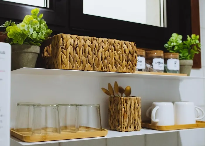 Serranos 24 Rector Cobos * Salamanque